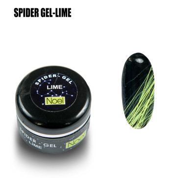 Spider Gel Glitter13123