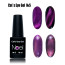 Cat's Eye Gel12234