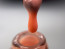 Rainbow base rose235